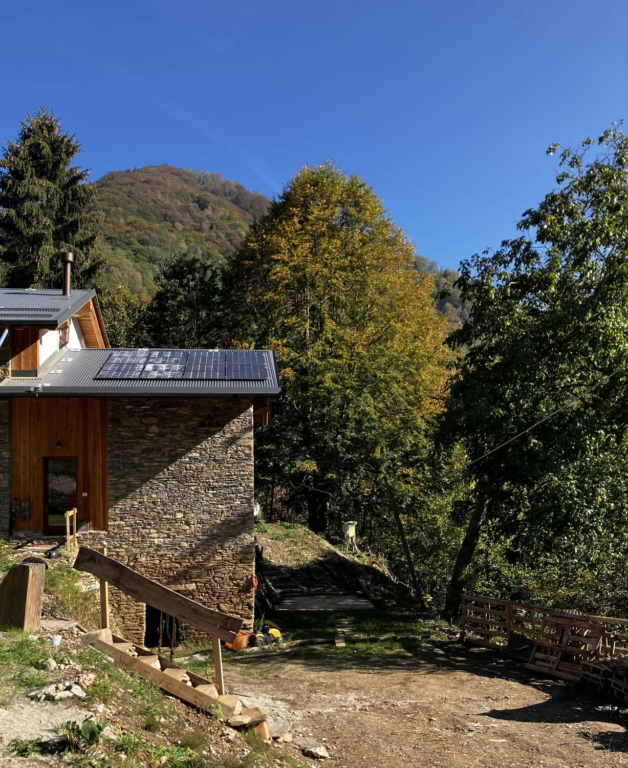 L'appartamento nel bosco